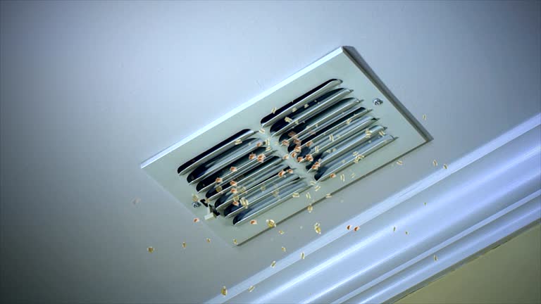 Best Affordable Duct Cleaning Services  in Marshall, TX