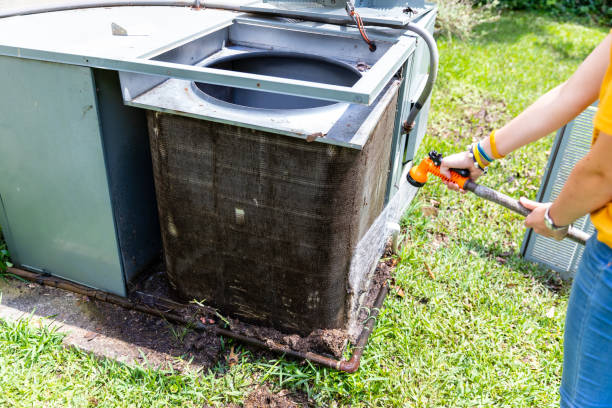 Best Air Duct Mold Removal  in Marshall, TX