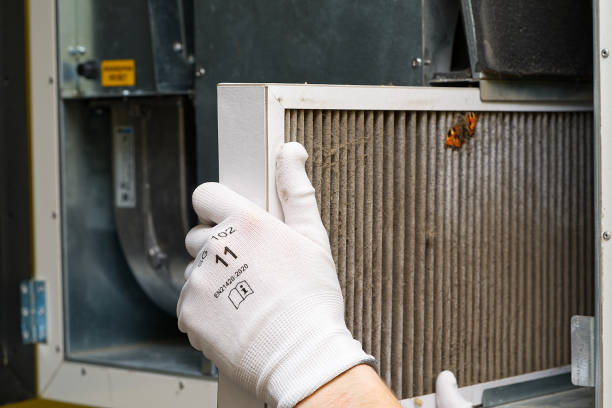 Best Home Air Vent Cleaning  in Marshall, TX